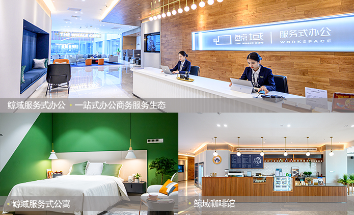 z6集团|中国平台官方官网